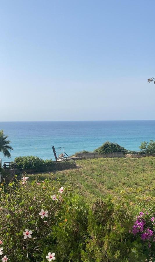 Balcon De Carabeo Lägenhet Nerja